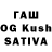 Псилоцибиновые грибы Magic Shrooms Hrishav Dey