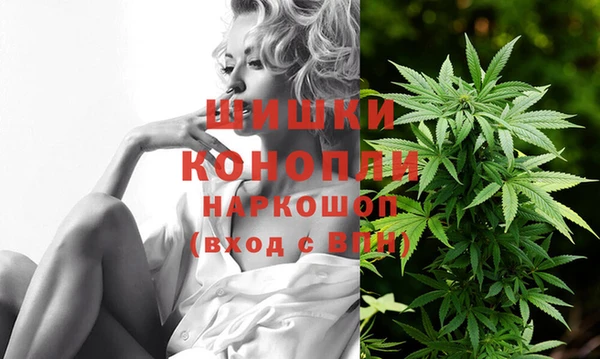 стаф Наволоки